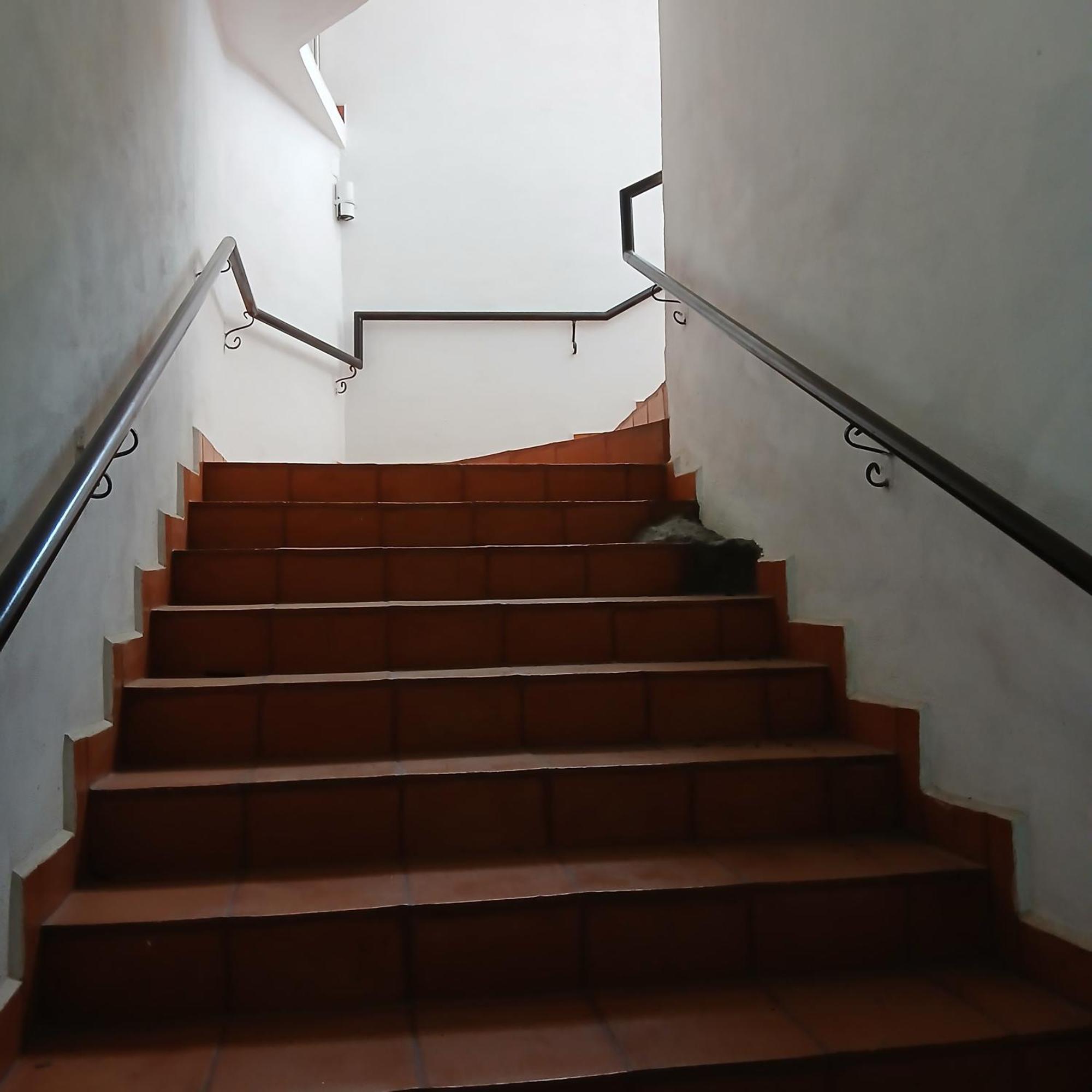 Hotel Alondra Los Laureles エクステリア 写真